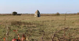 Saloche Nieulle-sur-Seudre