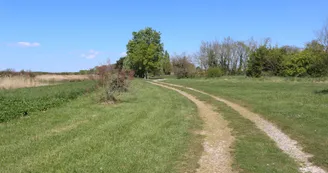 Balade, côté Luzac