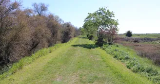 Balade, côté Luzac