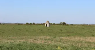 Saloche Nieulle-sur-Seudre