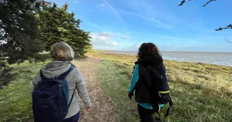 Chemin d'Oléron - Le Château d'Oléron à Boyardville