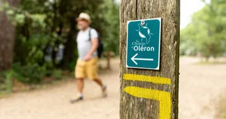 Chemin d'Oléron