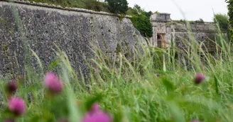 Porte Royale Citadelle Le Château d'Oléron