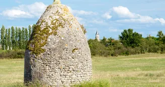 Les saloches